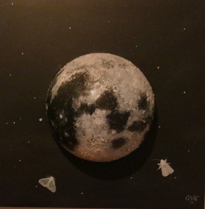 De maan 60 x 60 cm